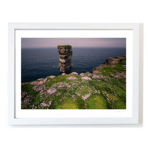 dun-briste-sea-stack-spring-wildflowers-3 WF