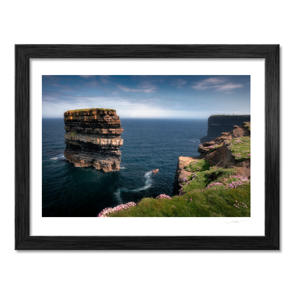 dun-briste-sea-stack-spring-wildflowers PM