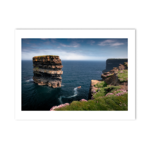dun-briste-sea-stack-spring-wildflowers PM