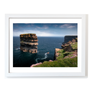 dun-briste-sea-stack-spring-wildflowers WF