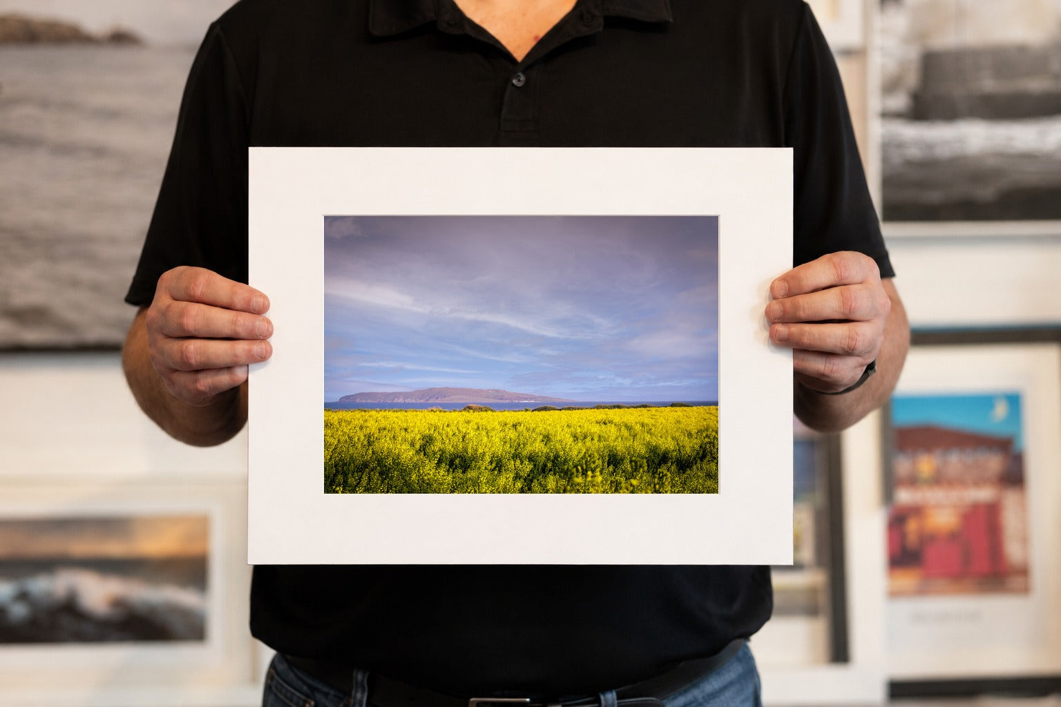 Fields of Gold, limited 16 x 12 inch Nua Photography print