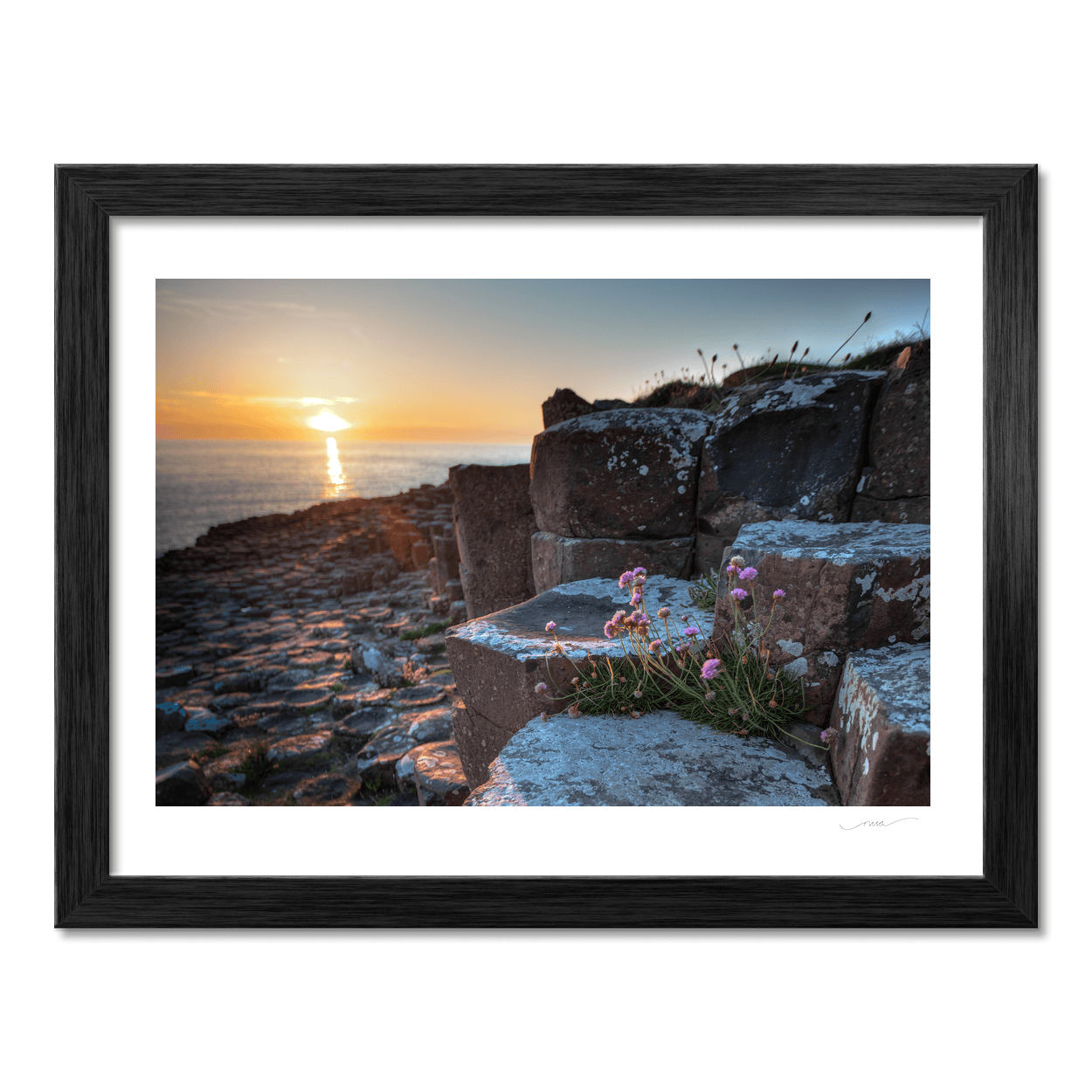 giants-causeway-sea-thrift-sunset PM