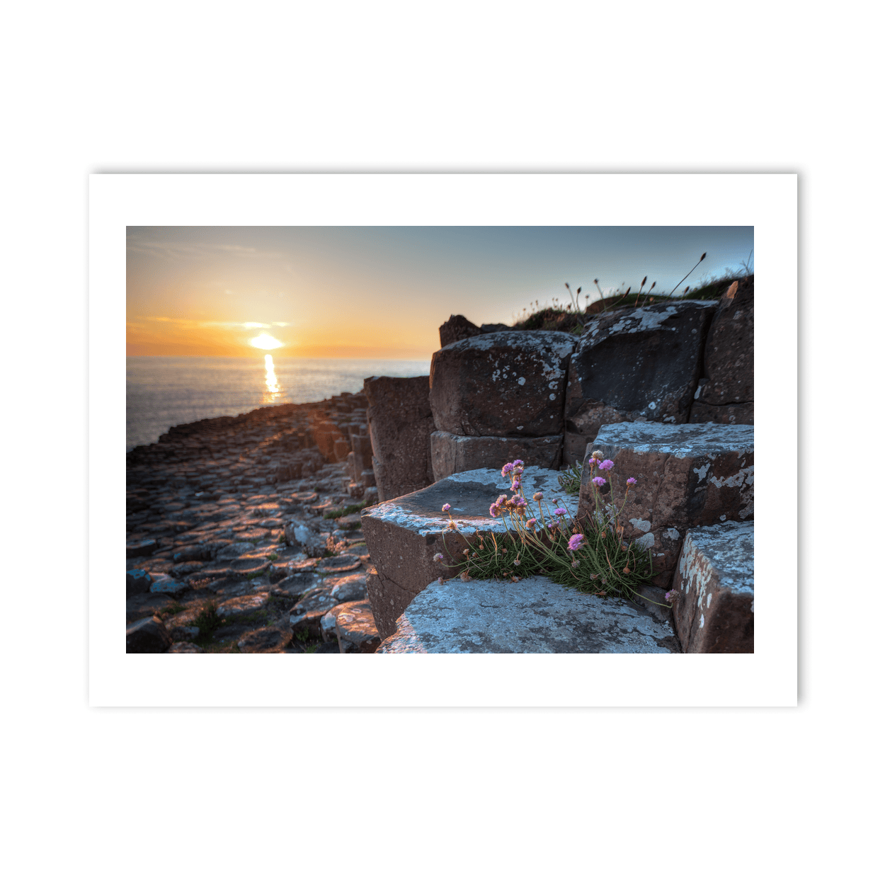 giants-causeway-sea-thrift-sunset PM