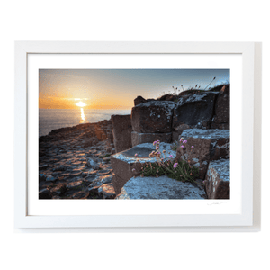 giants-causeway-sea-thrift-sunset WF