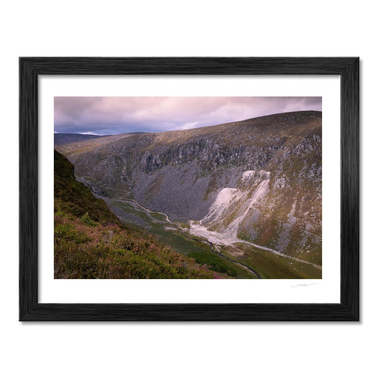 glendalough-mines-valley-heather-wicklow PM
