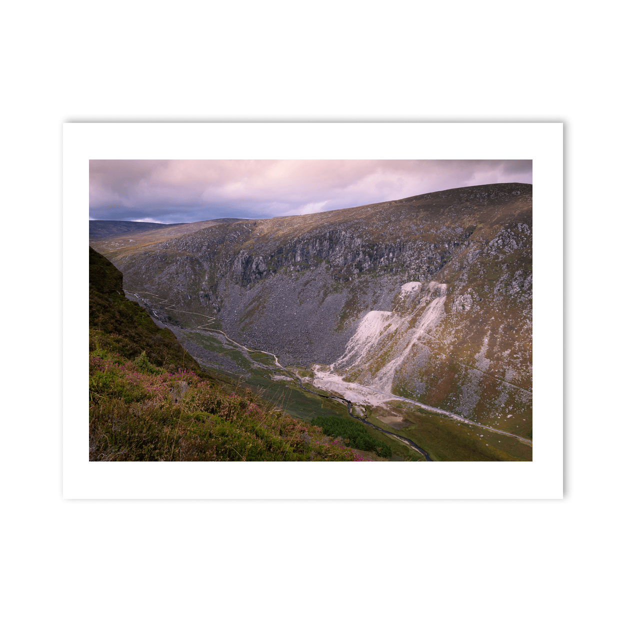glendalough-mines-valley-heather-wicklow PM