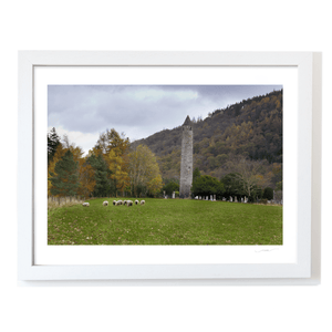 glendalough-round-tower-autumn-sheep-grazing WF
