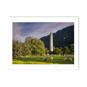 glendalough-round-tower-sheep-golden-hour PM