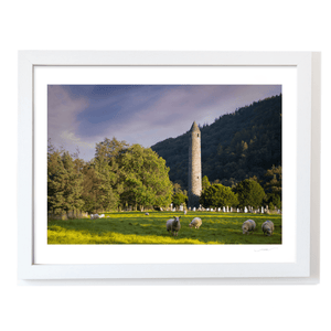 glendalough-round-tower-sheep-golden-hour WF