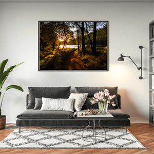 glendalough-woodland-path-golden-sunset BFW