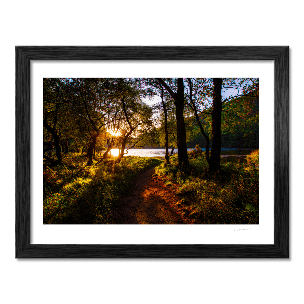 glendalough-woodland-path-golden-sunset PM