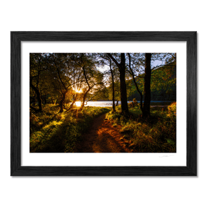 glendalough-woodland-path-golden-sunset BF