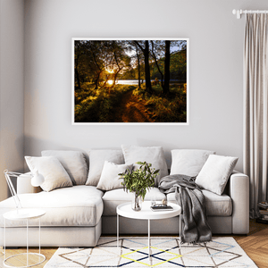 glendalough-woodland-path-golden-sunset WFW