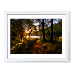 glendalough-woodland-path-golden-sunset WF