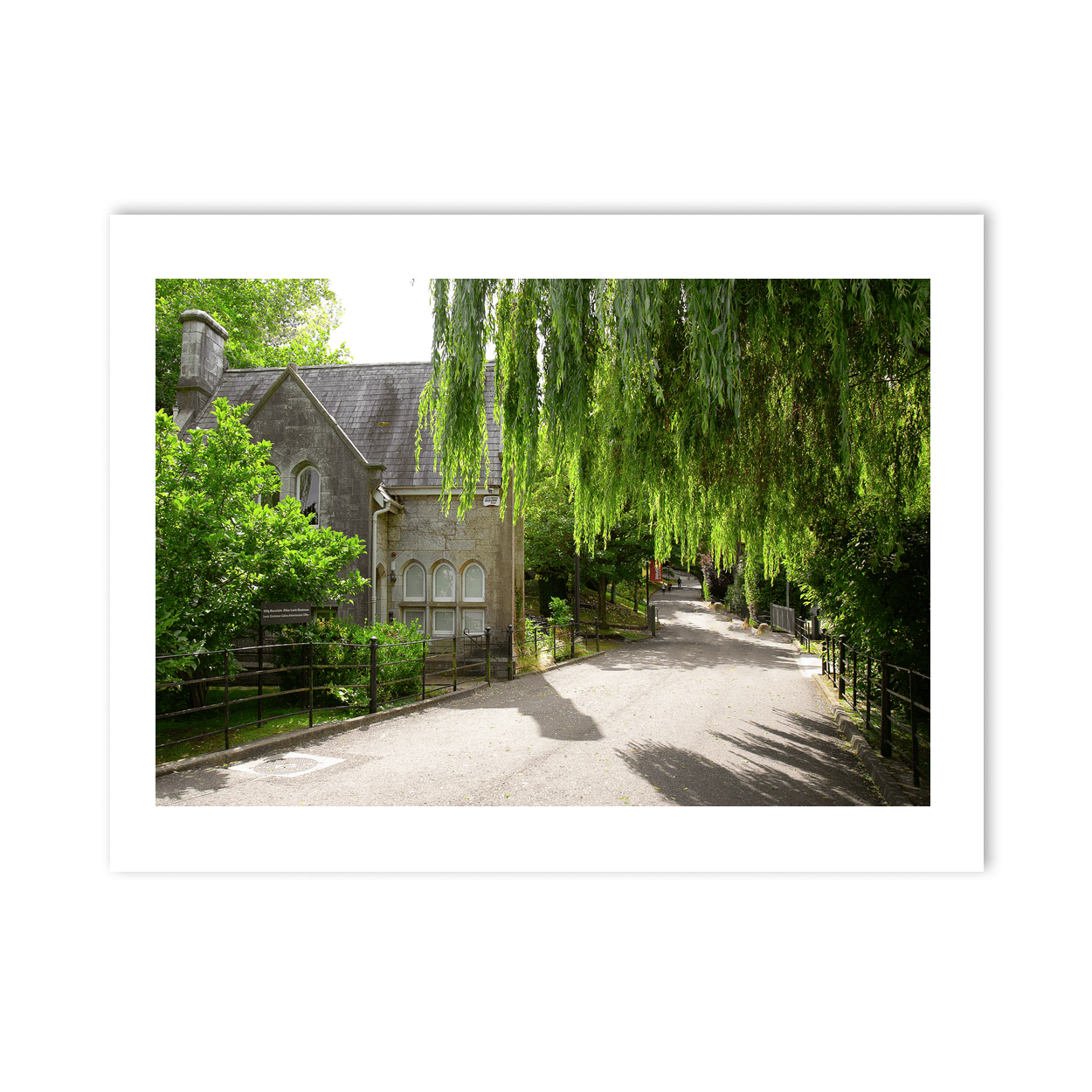 Nua Photography Print Lewis Glucksman Gallery Entrance in Summer, Cork Lewis Glucksman Gallery Summer Print | Nua Photography