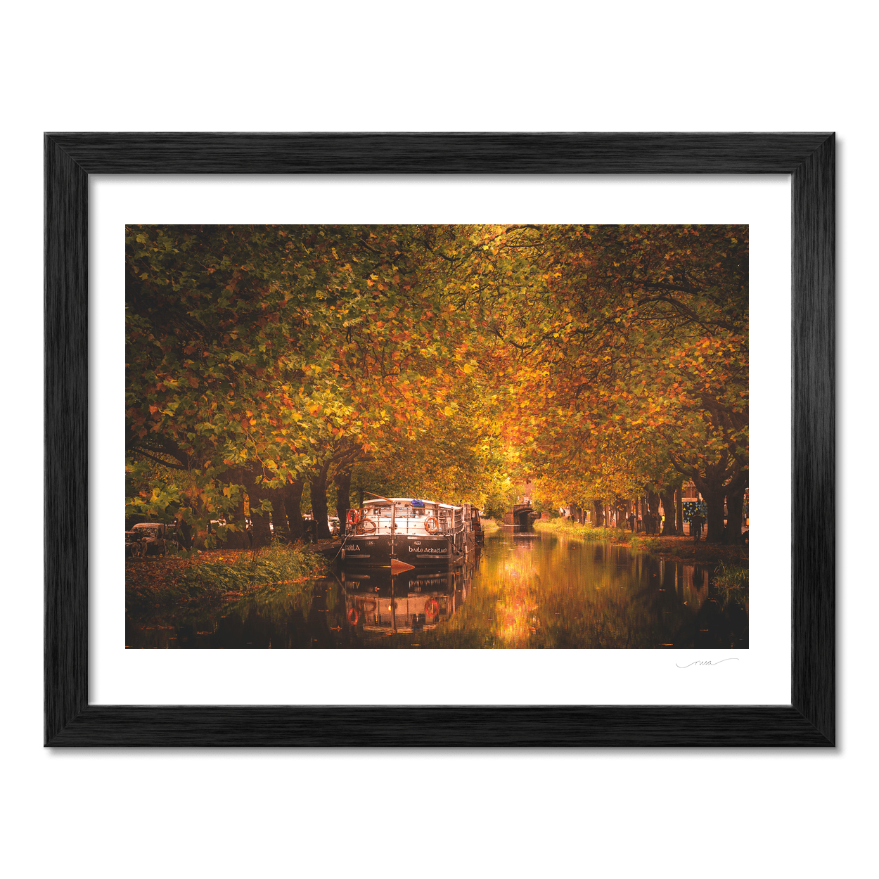 Nua Photography Print Grand Canal Autumn Golden Canopy with Barge, Dublin City Grand Canal Autumn Golden Canopy Dublin Print | Nua Photography