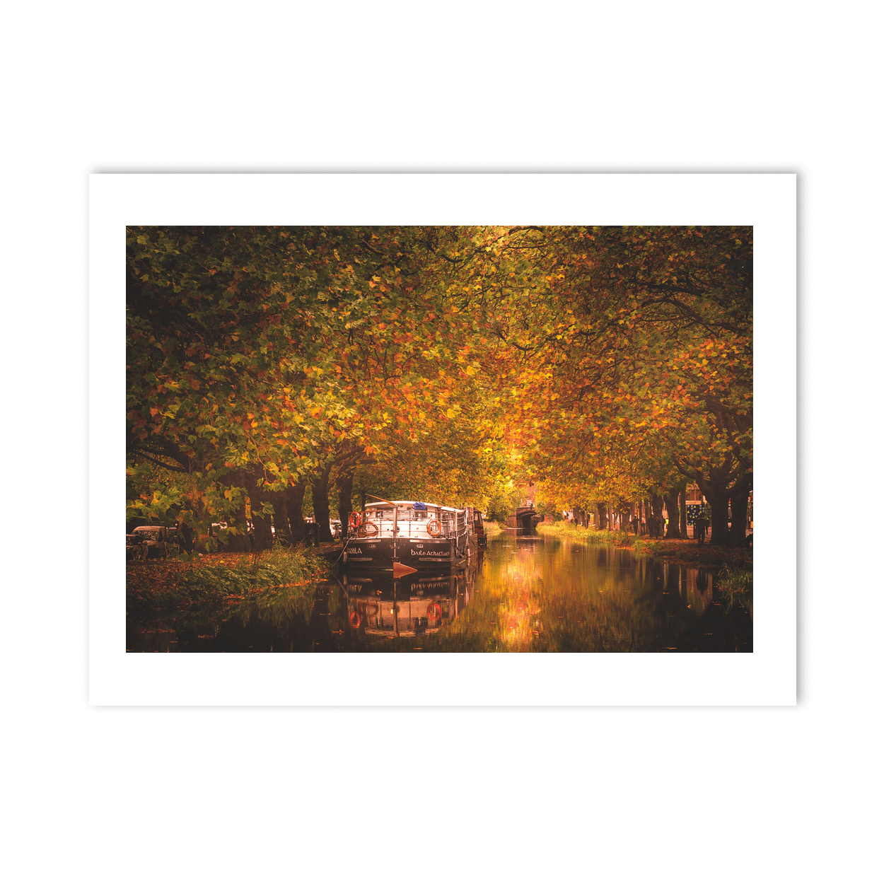 Nua Photography Print Grand Canal Autumn Golden Canopy with Barge, Dublin City Grand Canal Autumn Golden Canopy Dublin Print | Nua Photography