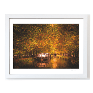 Nua Photography Print Grand Canal Autumn Golden Canopy with Barge, Dublin City Grand Canal Autumn Golden Canopy Dublin Print | Nua Photography