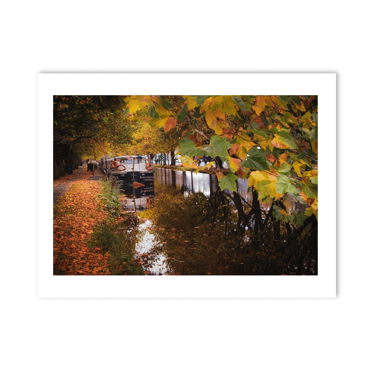 grand-canal-autumn-leaves-barge PM