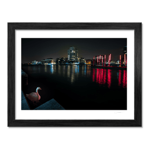 Nua Photography Print Grand Canal Dock Swan and Red Sticks at Night, Dublin City Grand Canal Dock Swan at Night Print | Nua Photography