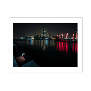 Nua Photography Print Grand Canal Dock Swan and Red Sticks at Night, Dublin City Grand Canal Dock Swan at Night Print | Nua Photography