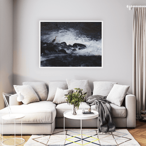 Nua Photography Print Grey Heron Standing Watch at the River Rapids, Wales Grey Heron at River Rapids Wales Print | Nua Photography