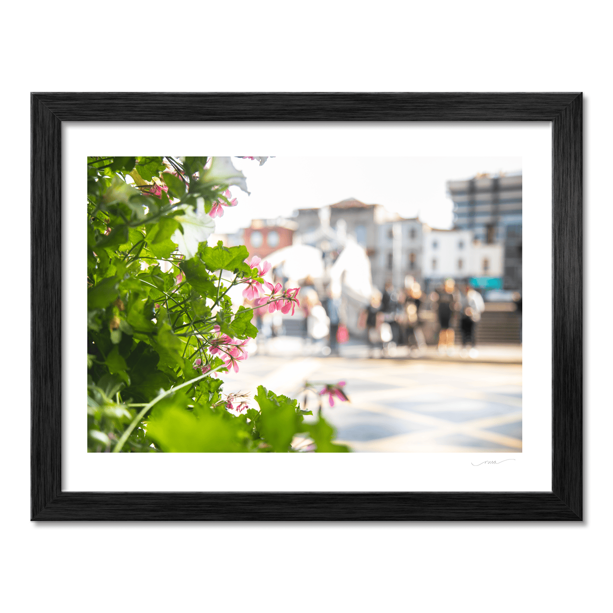 ha-penny-bridge-flowers-summer-street PM