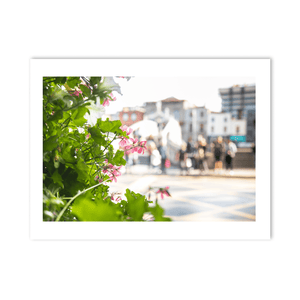 ha-penny-bridge-flowers-summer-street PM
