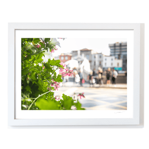 ha-penny-bridge-flowers-summer-street WF