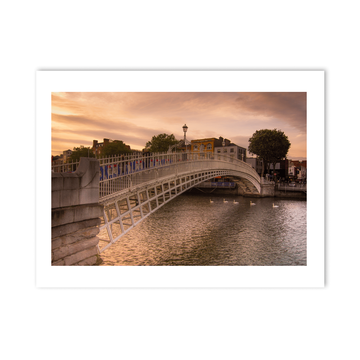 hapenny-bridge-sunset-swans-river-liffey PM