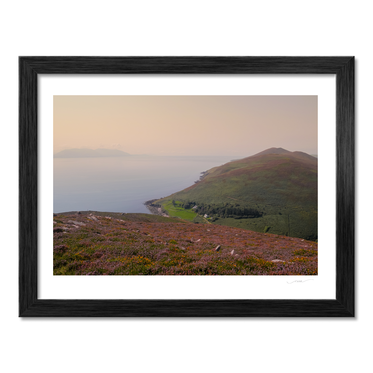 heather-mist-atlantic-annascaul-dingle-peninsula PM