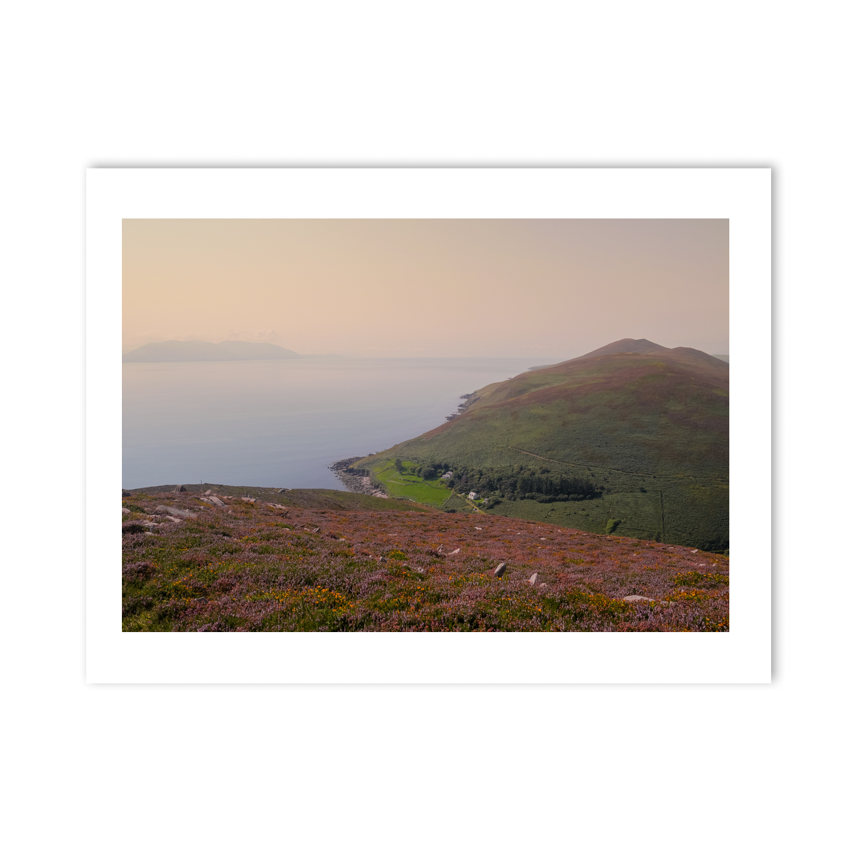 heather-mist-atlantic-annascaul-dingle-peninsula PM