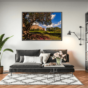 hillsborough-castle-rhododendron-tree-spring BFW