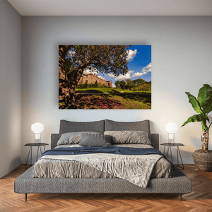 hillsborough-castle-rhododendron-tree-spring Pano
