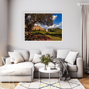hillsborough-castle-rhododendron-tree-spring WFW