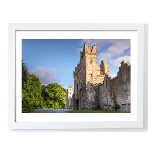 howth-castle-medieval-tower-summer WF