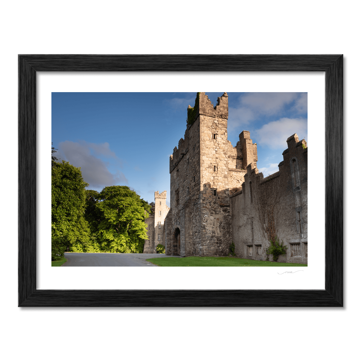 Nua Photography Print Howth Castle Tower and Grounds on a Summer Morning, Co. Dublin Howth Castle Tower Summer Morning Print | Nua Photography