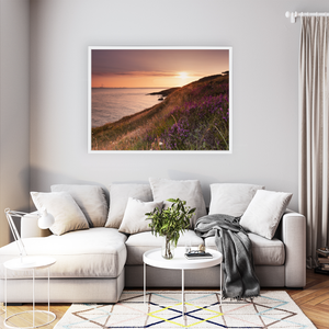 Nua Photography Print Howth Heather and Dublin Bay at Sunset, Co. Dublin Howth Heather Sunset Dublin Bay Print | Nua Photography
