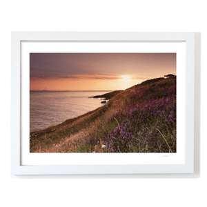 Nua Photography Print Howth Heather and Dublin Bay at Sunset, Co. Dublin Howth Heather Sunset Dublin Bay Print | Nua Photography