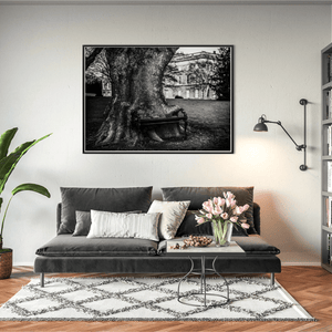 hungry-tree-bench-kings-inns BFW