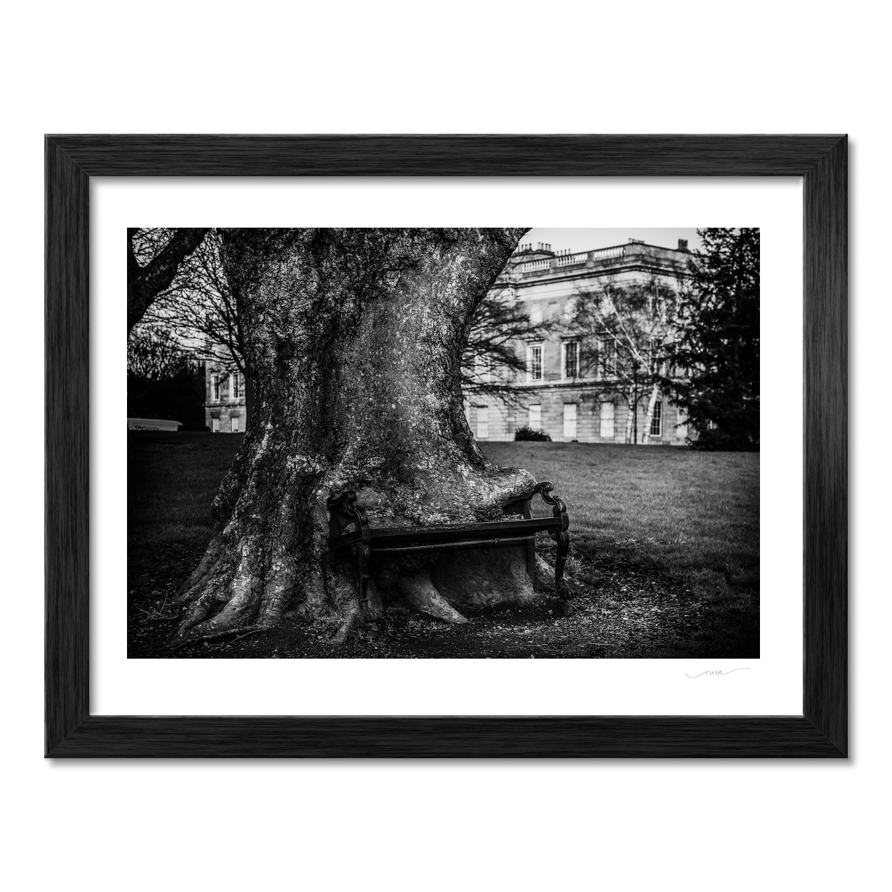 hungry-tree-bench-kings-inns PM