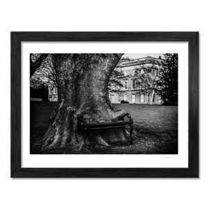 hungry-tree-bench-kings-inns BF