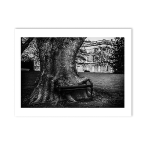 hungry-tree-bench-kings-inns PM