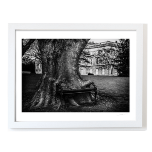 hungry-tree-bench-kings-inns WF