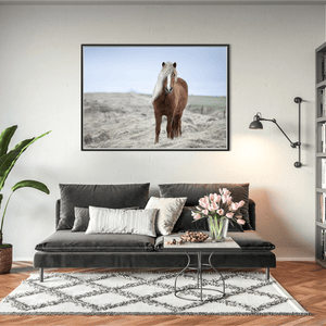 Nua Photography Print Icelandic Horse with Windswept Mane, Iceland Icelandic Horse Windswept Mane Print | Nua Photography