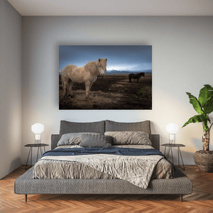 Nua Photography Print Icelandic Horses with Snow-Capped Mountains, Iceland Icelandic Horses with Mountain Backdrop Print | Nua Photography
