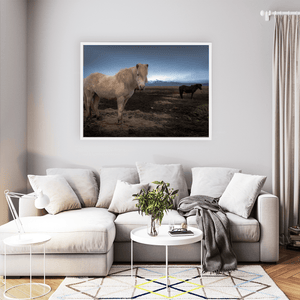 Nua Photography Print Icelandic Horses with Snow-Capped Mountains, Iceland Icelandic Horses with Mountain Backdrop Print | Nua Photography