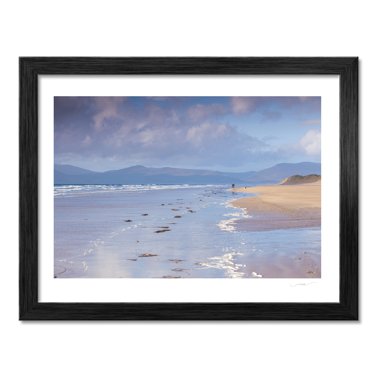 inch-beach-dog-walker-mountain-view PM