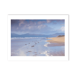 inch-beach-dog-walker-mountain-view PM
