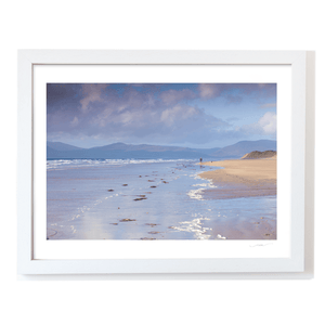 inch-beach-dog-walker-mountain-view WF